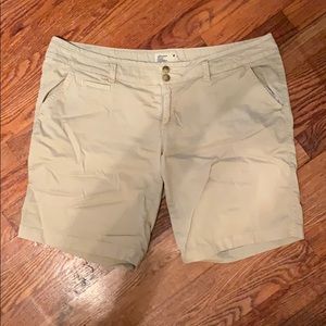 Khaki Shorts